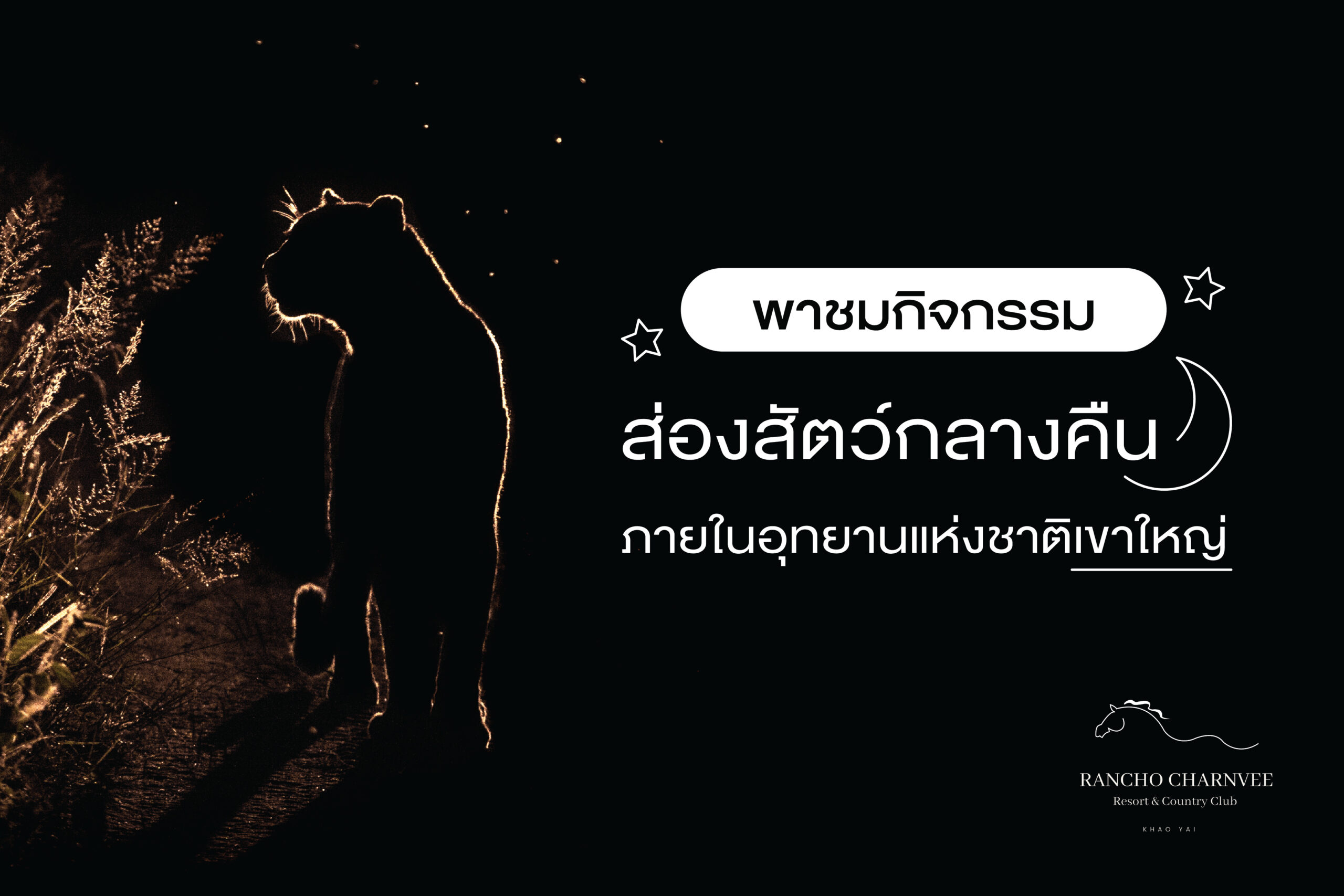 พาชมกิจกรรม ส่องสัตว์กลางคืน ภายในอุทยานแห่งชาติเขาใหญ่