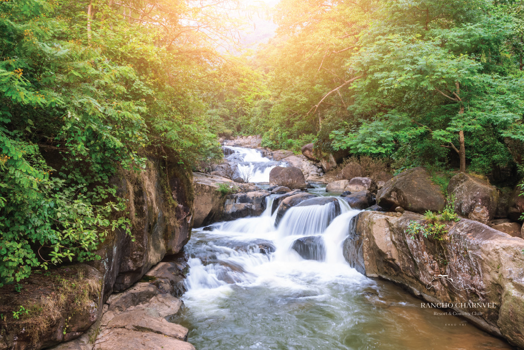 อุทยานแห่งชาติเขาใหญ่ จังหวัดนครราชสีมา