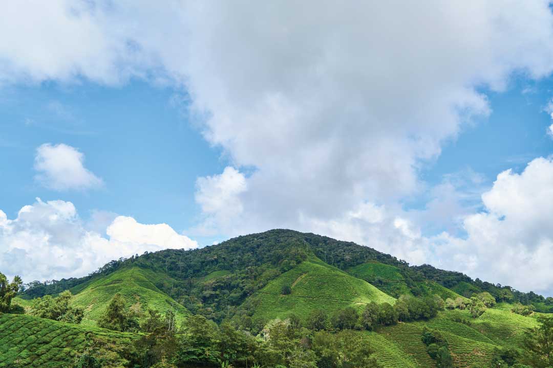 ที่พักธรรมชาติในอุทยานแห่งชาติดอยภูคา 