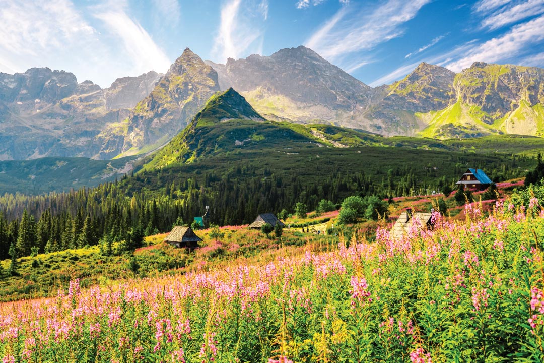 Valley of flowers National Park ประเทศอินเดีย