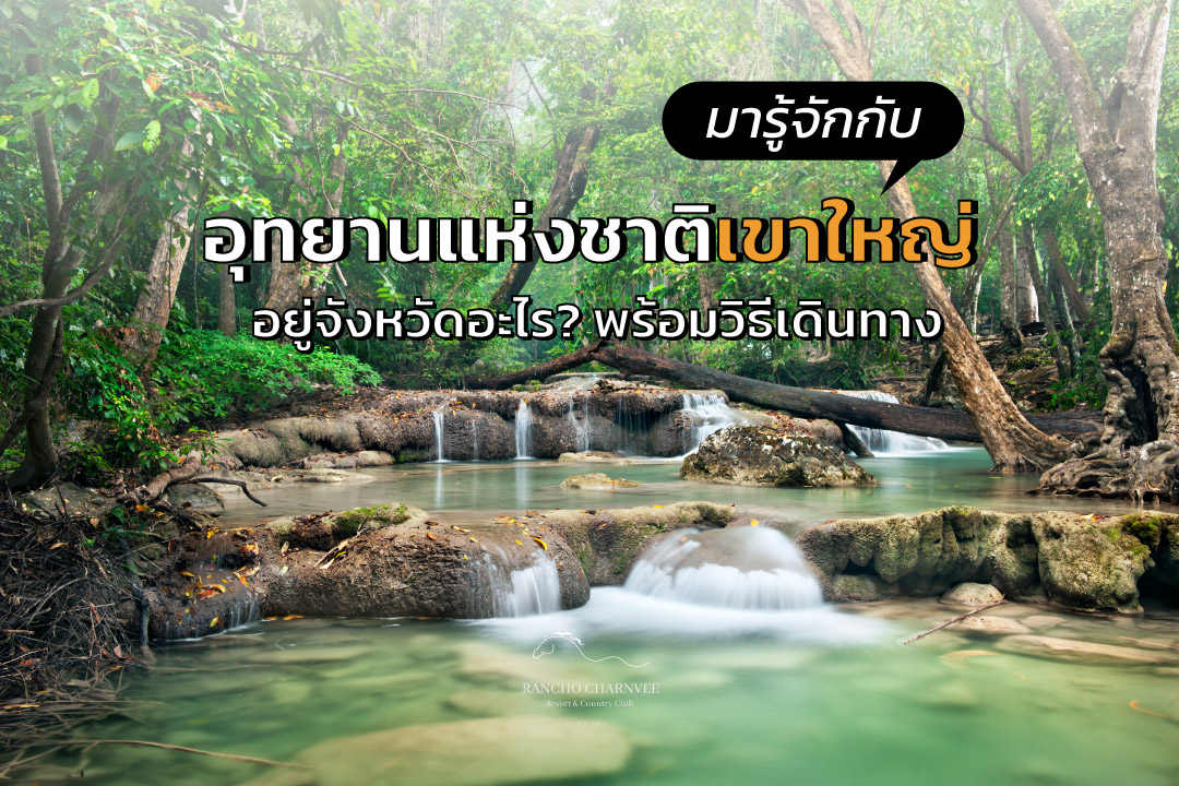 อุทยานแห่งชาติเขาใหญ่ อยู่จังหวัดอะไร