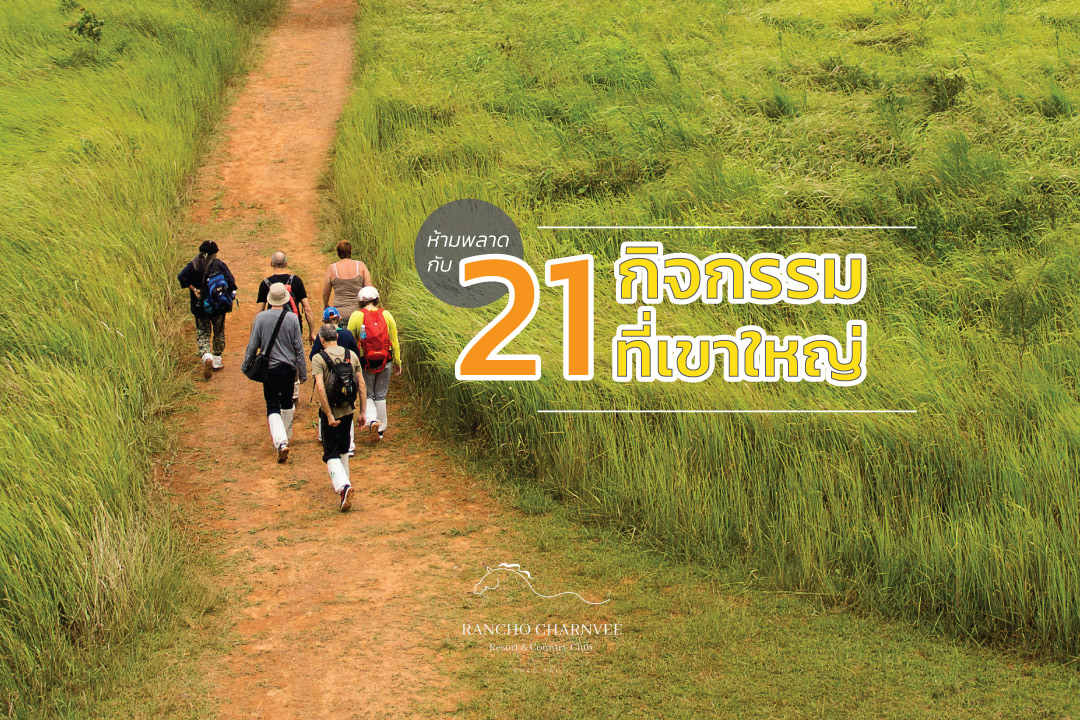 กิจกรรม เขา ใหญ่