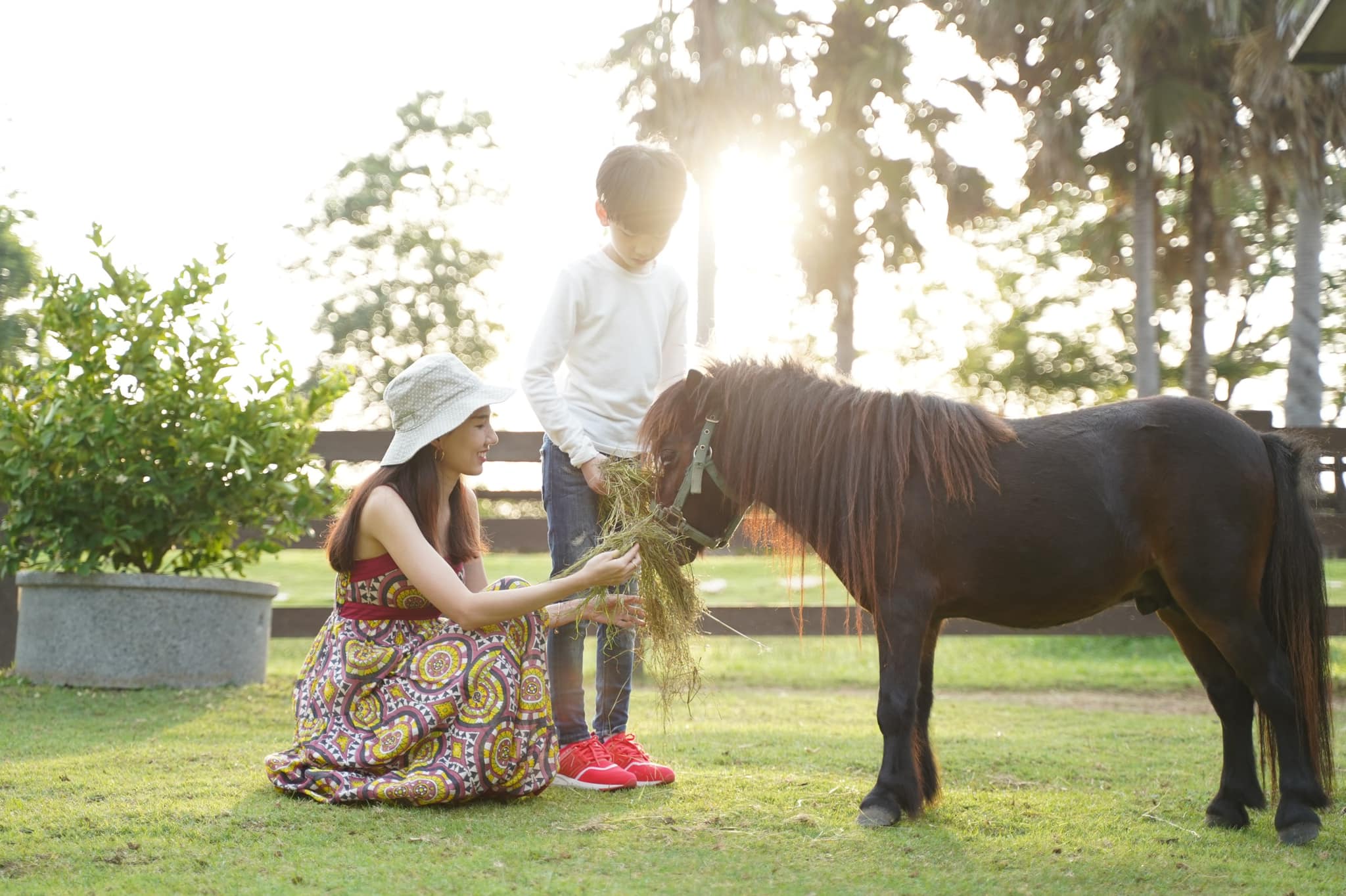 ประโยชน์น่ารู้ของอาชาบำบัด