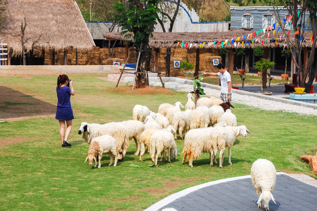 8. สวนผึ้ง จังหวัดราชบุรี