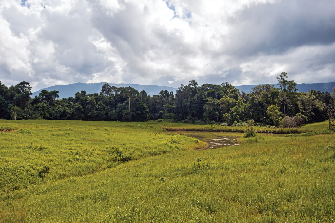 Route 3 | Dong Tiw—Sai Sorn Reservoir