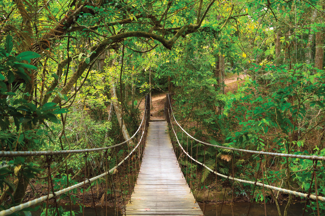 Route 7 | Khao Yai National Park Visitor Center—Haew Su Wat Waterfall