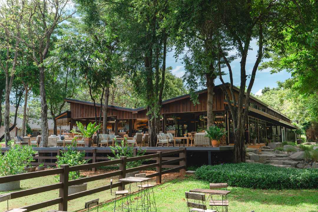  Why Khao Yai Cafes?