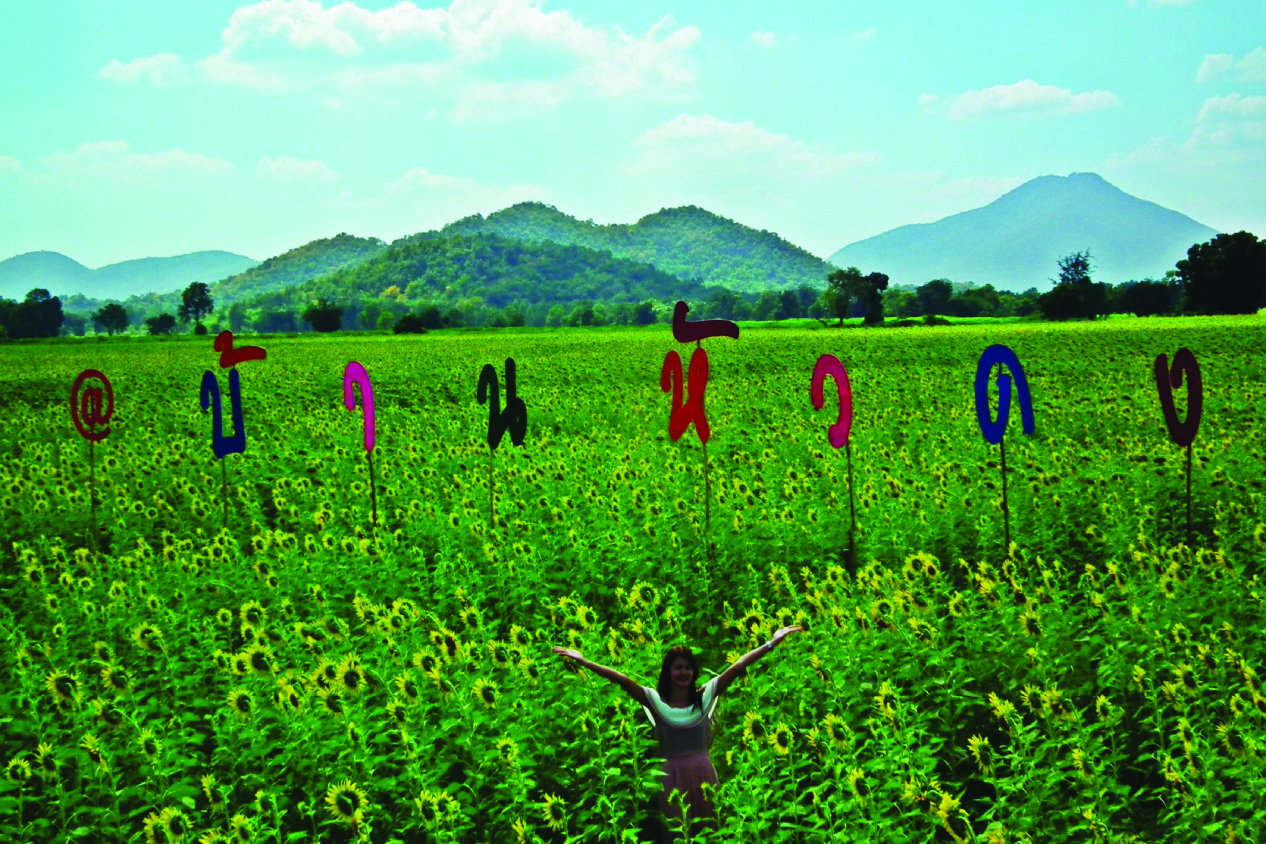 Ban Hua Dong Sunflower Field