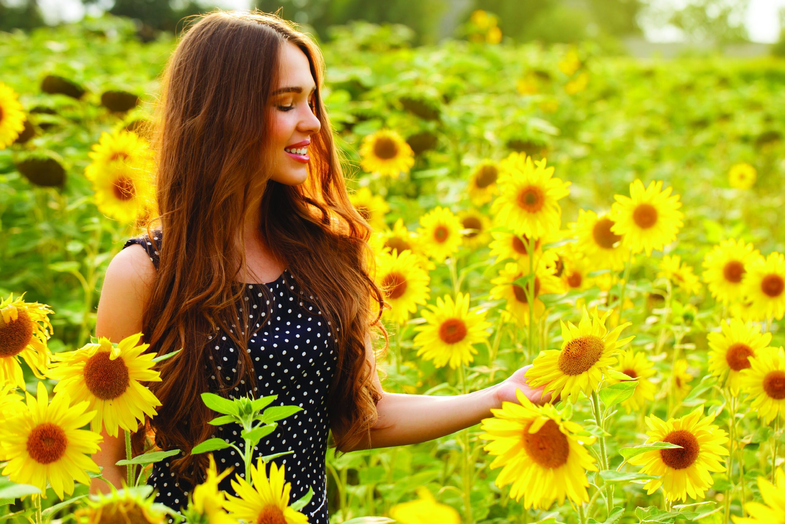 9. Rai Wichan Khao Yai Sunflower Field