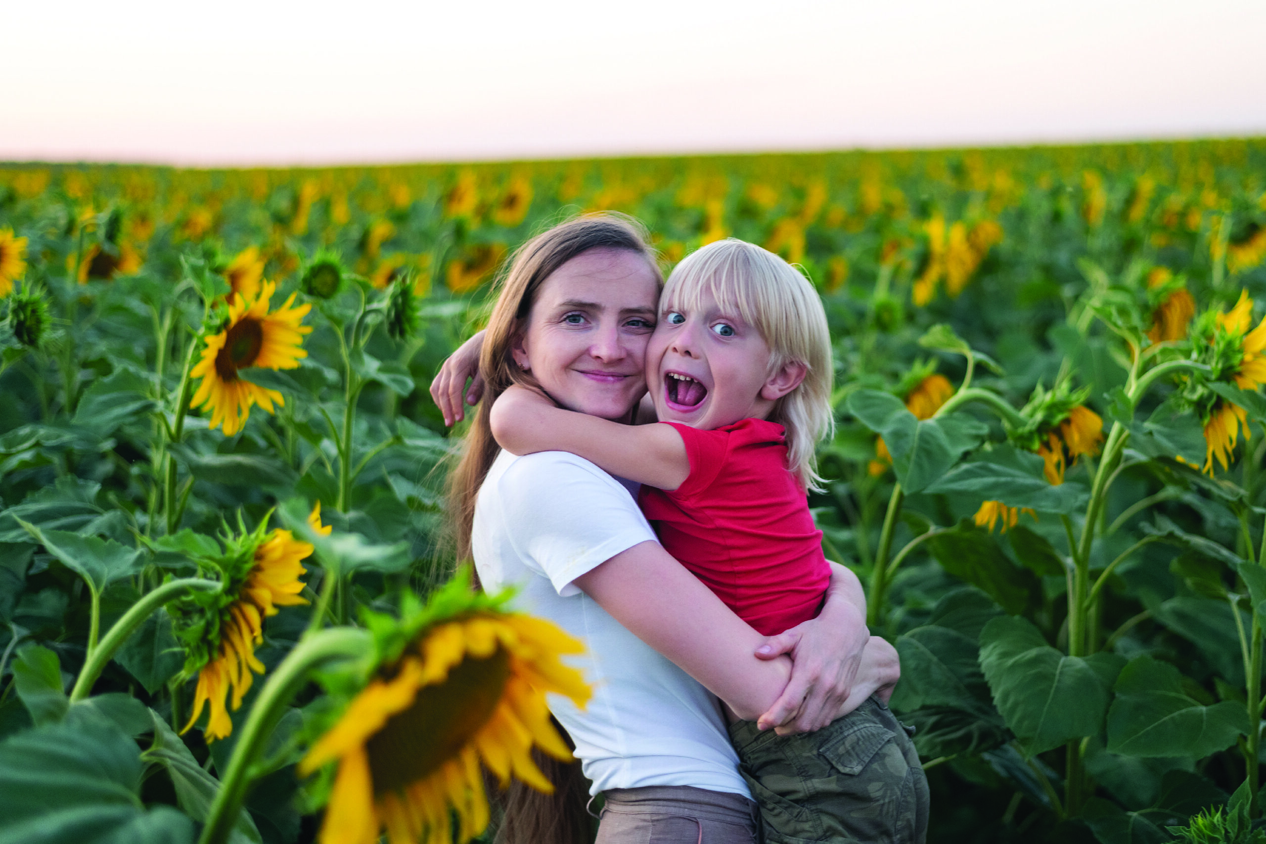 13. Ban Hin Son Sunflower Field