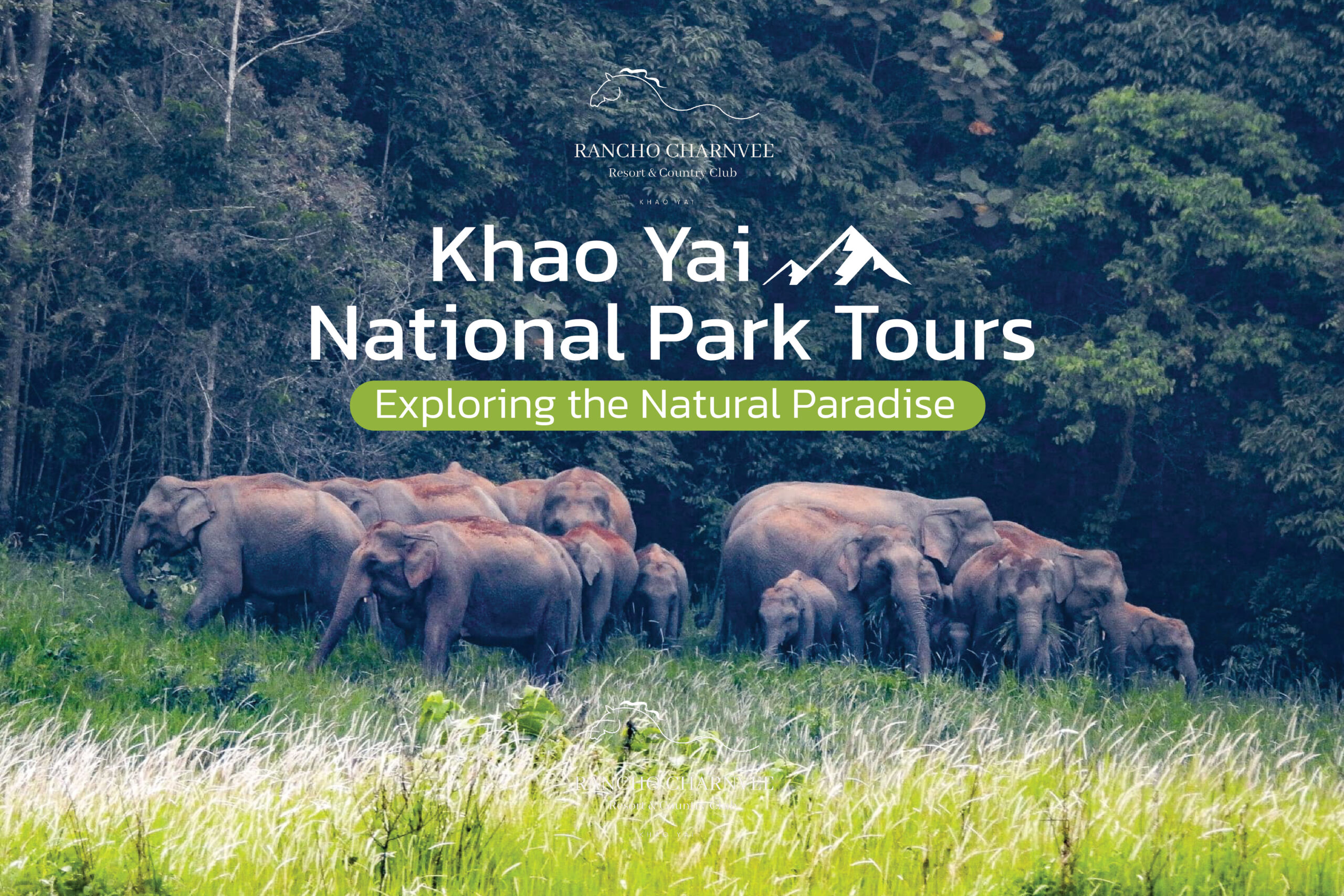 Khao Yai National Park Tours: Exploring the Natural Paradise