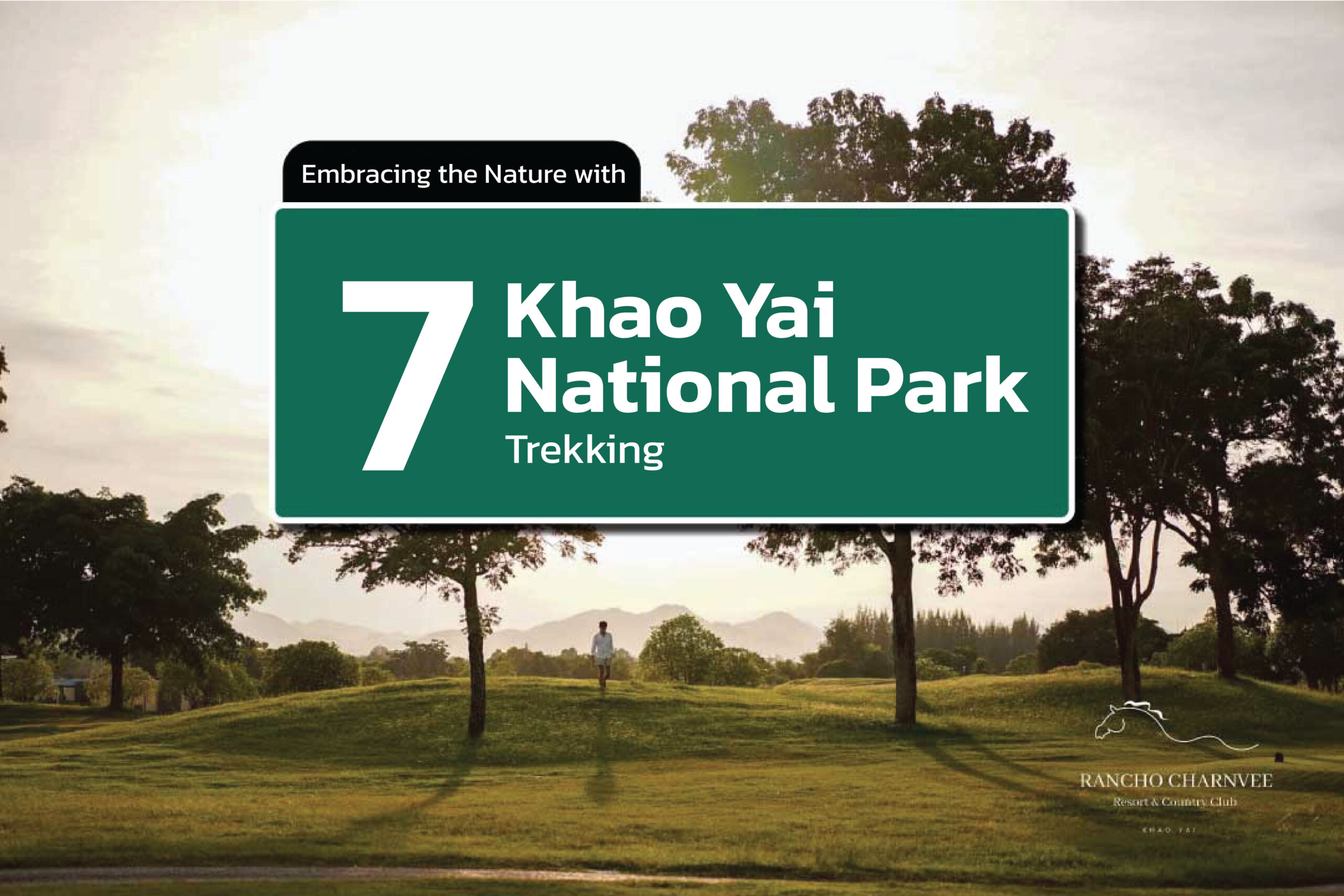 Embracing the Nature with 7 Khao Yai National Park Trekking