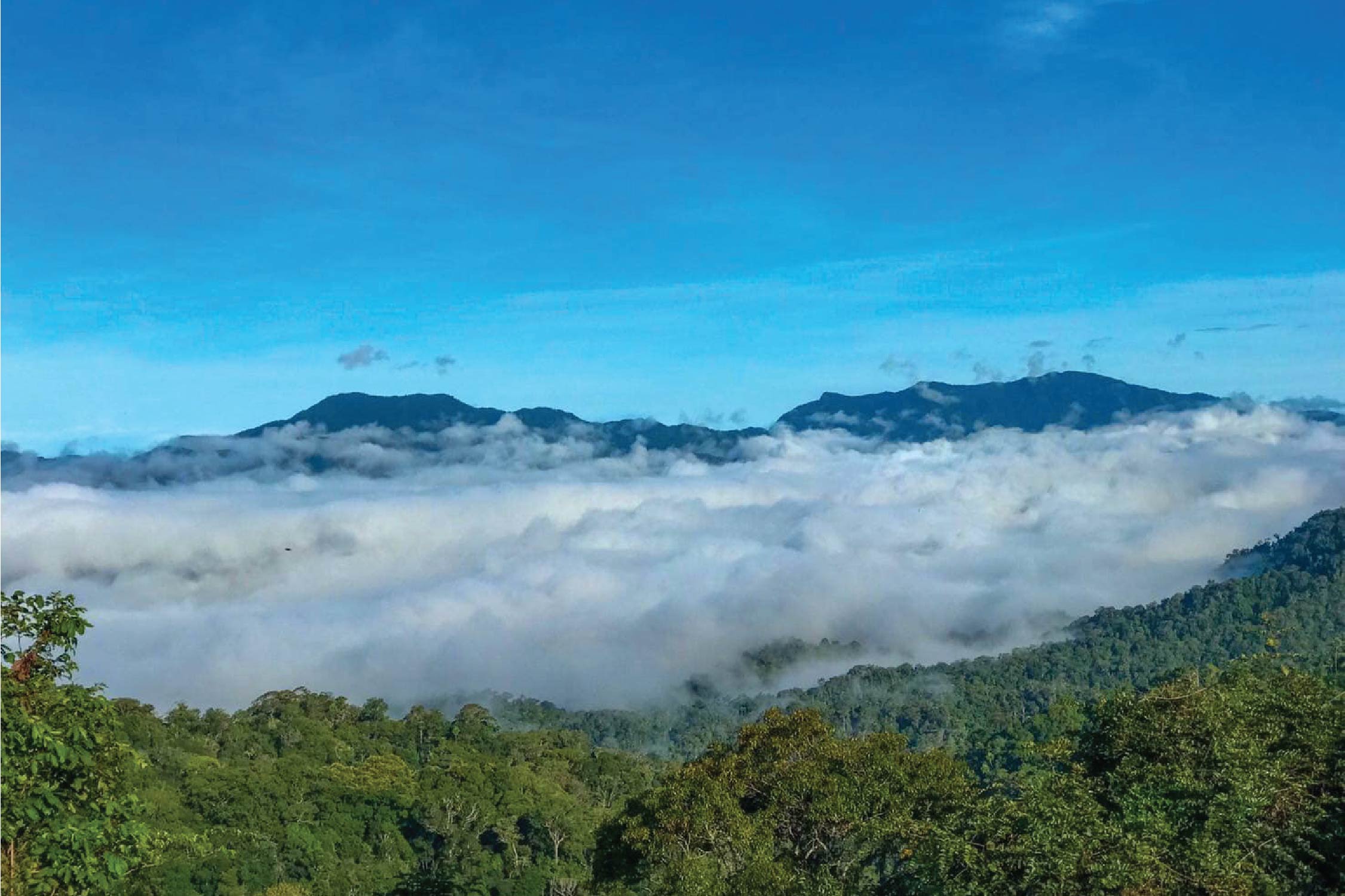 2. Kaeng Krachan National Park, Phetchaburi Province.