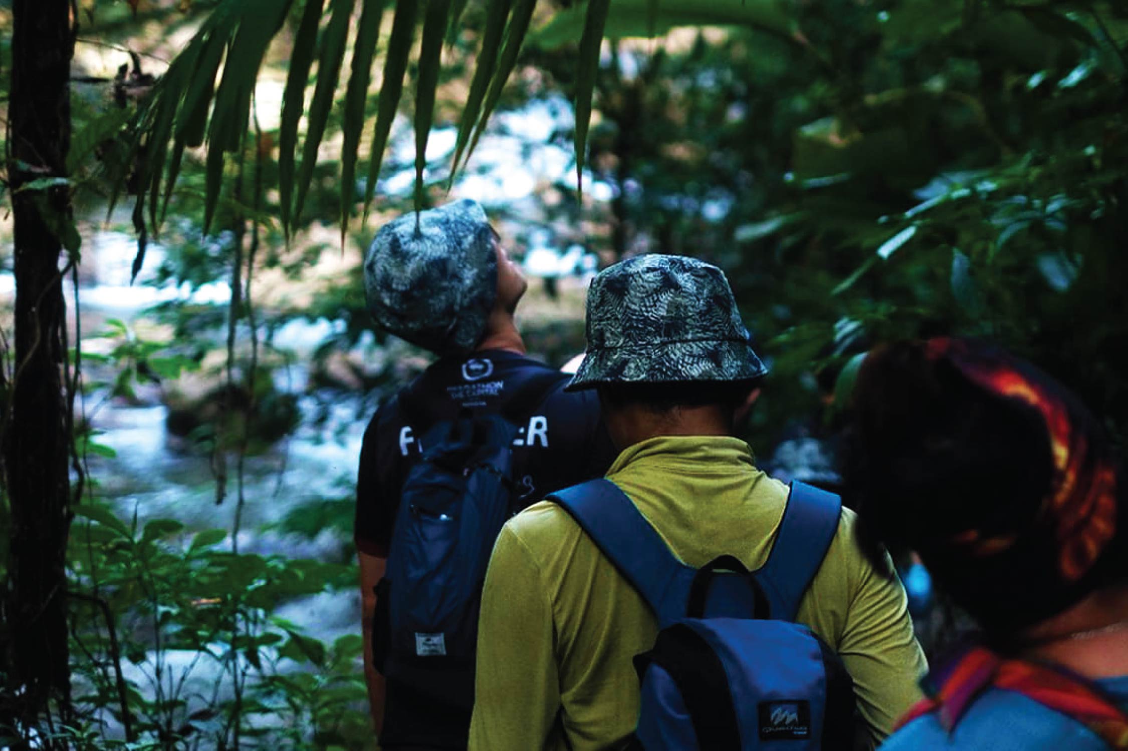 6. Doi Phu Kha National Park, Nan Province