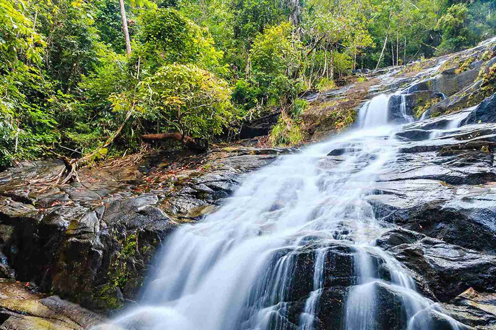 Khaolak-Lamru National Park, Phang Nga