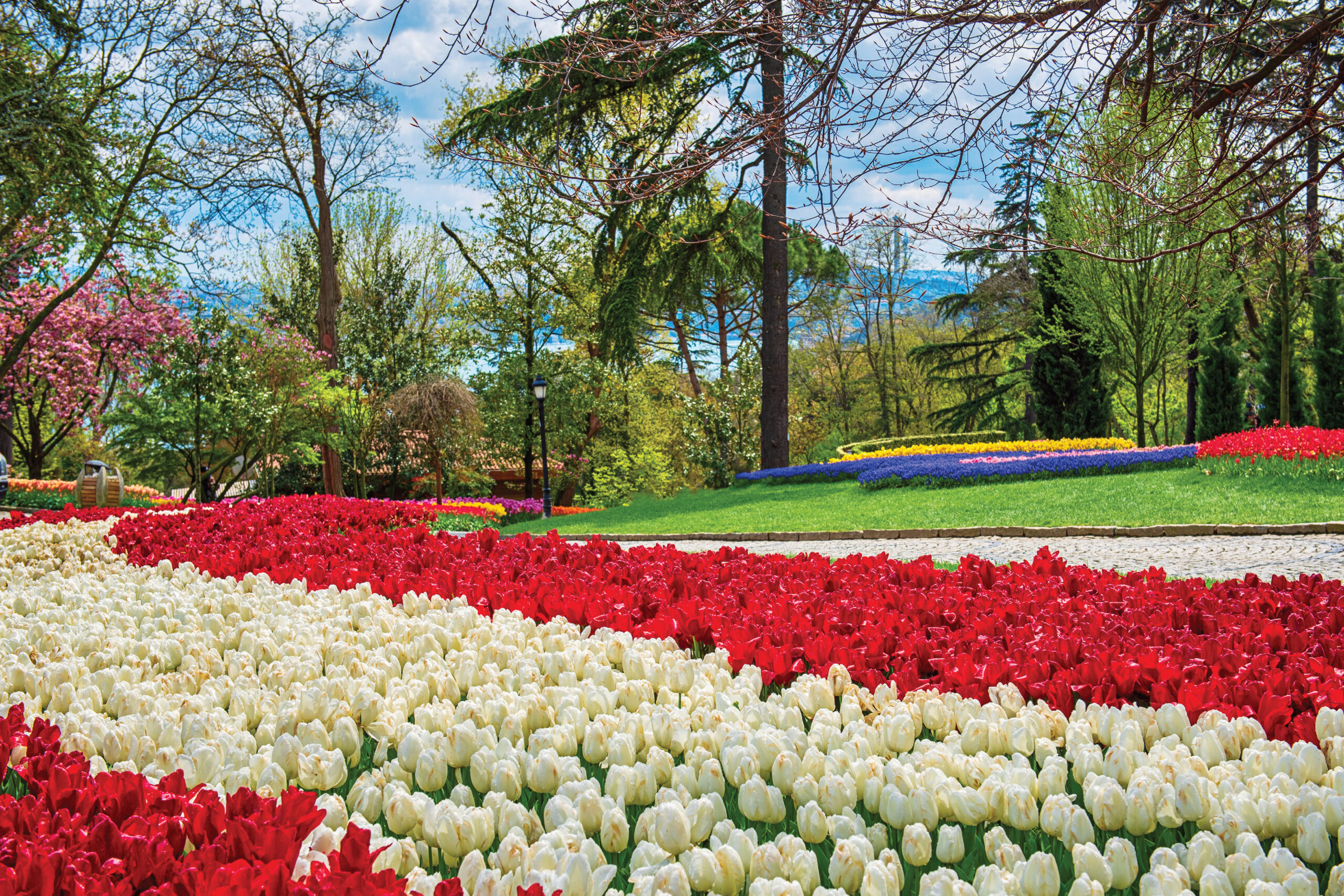 เมืองทิวลิป คิวเคนฮอฟ, ลิซเซ่ (Keukenhof, Lisse)