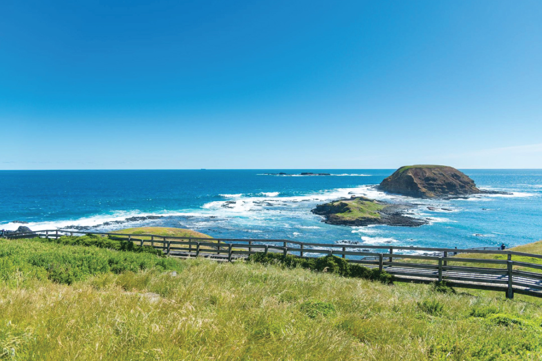 เกาะฟิลลิป - Phillip Island