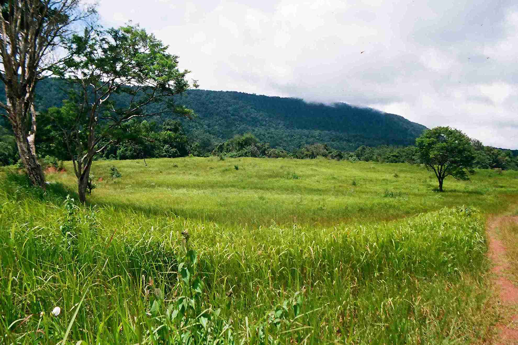 Khao Rom