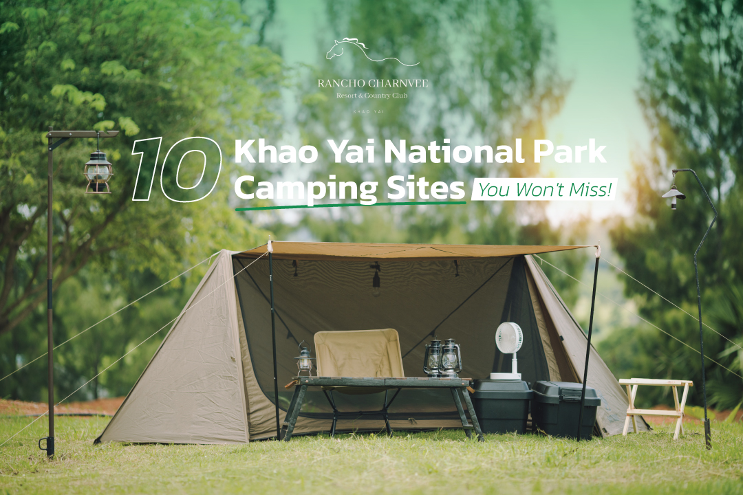 khao yai national park camping