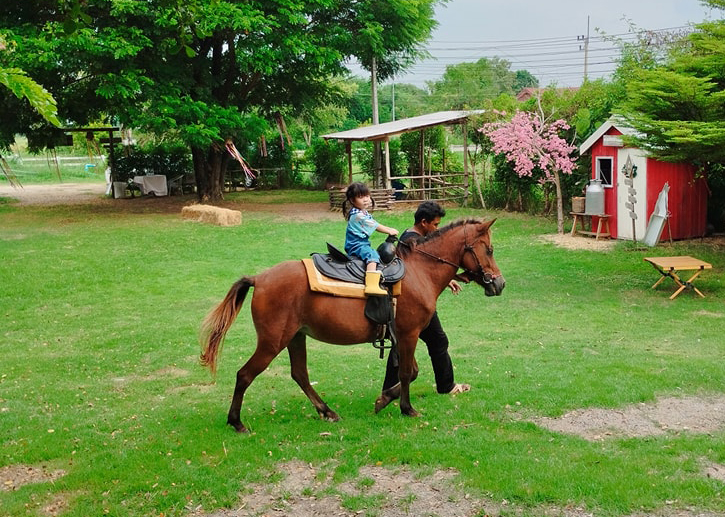 PanKhwan Dairy Farm - Ratchaburi