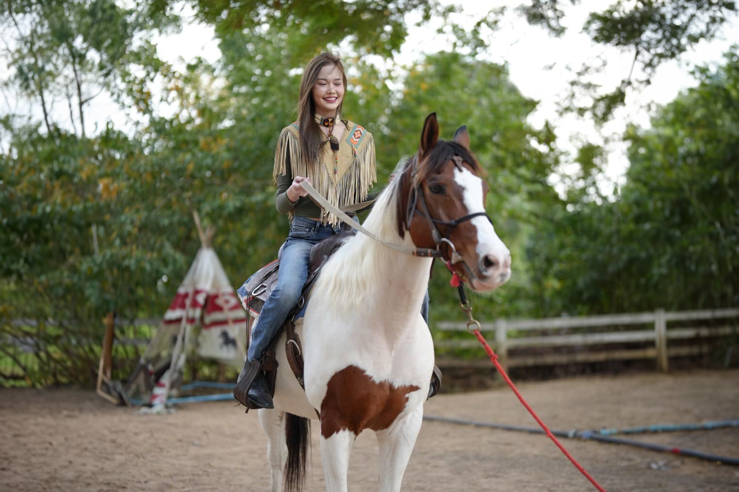 KK Falabella Horse - Khon Kaen