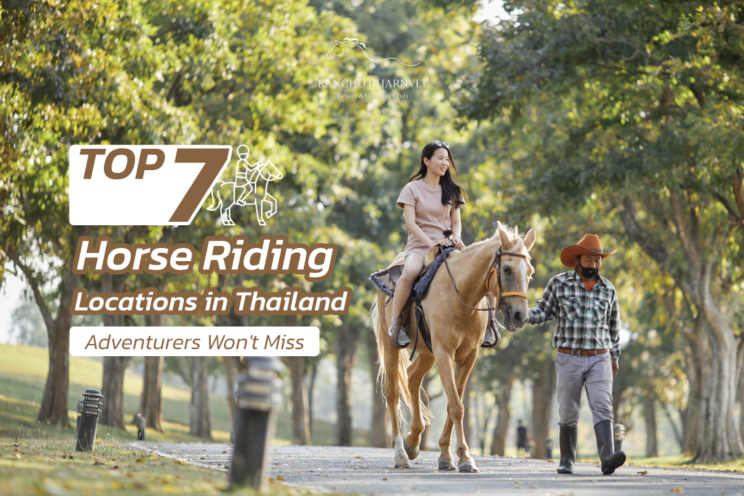 Top 7 Horse Riding Locations in Thailand