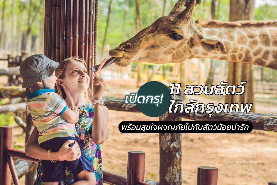 เปิดกรุ! 11 สวนสัตว์ใกล้กรุงเทพ พร้อมสุขใจผจญภัยไปกับสัตว์น้อยน่ารัก