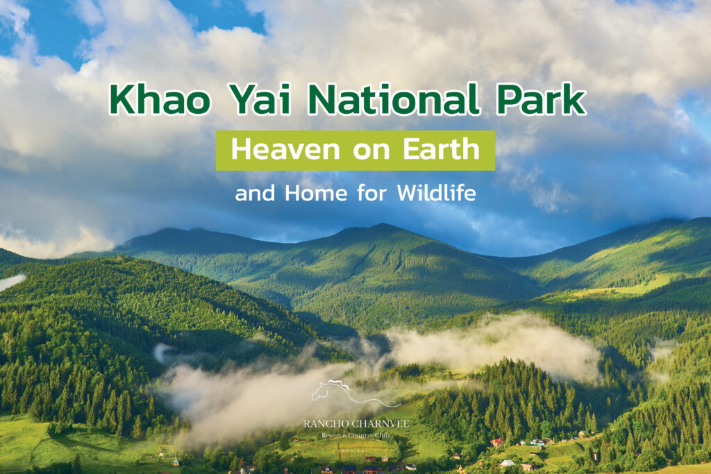 Khao Yai National Park: Heaven on Earth and Home for Wildlife