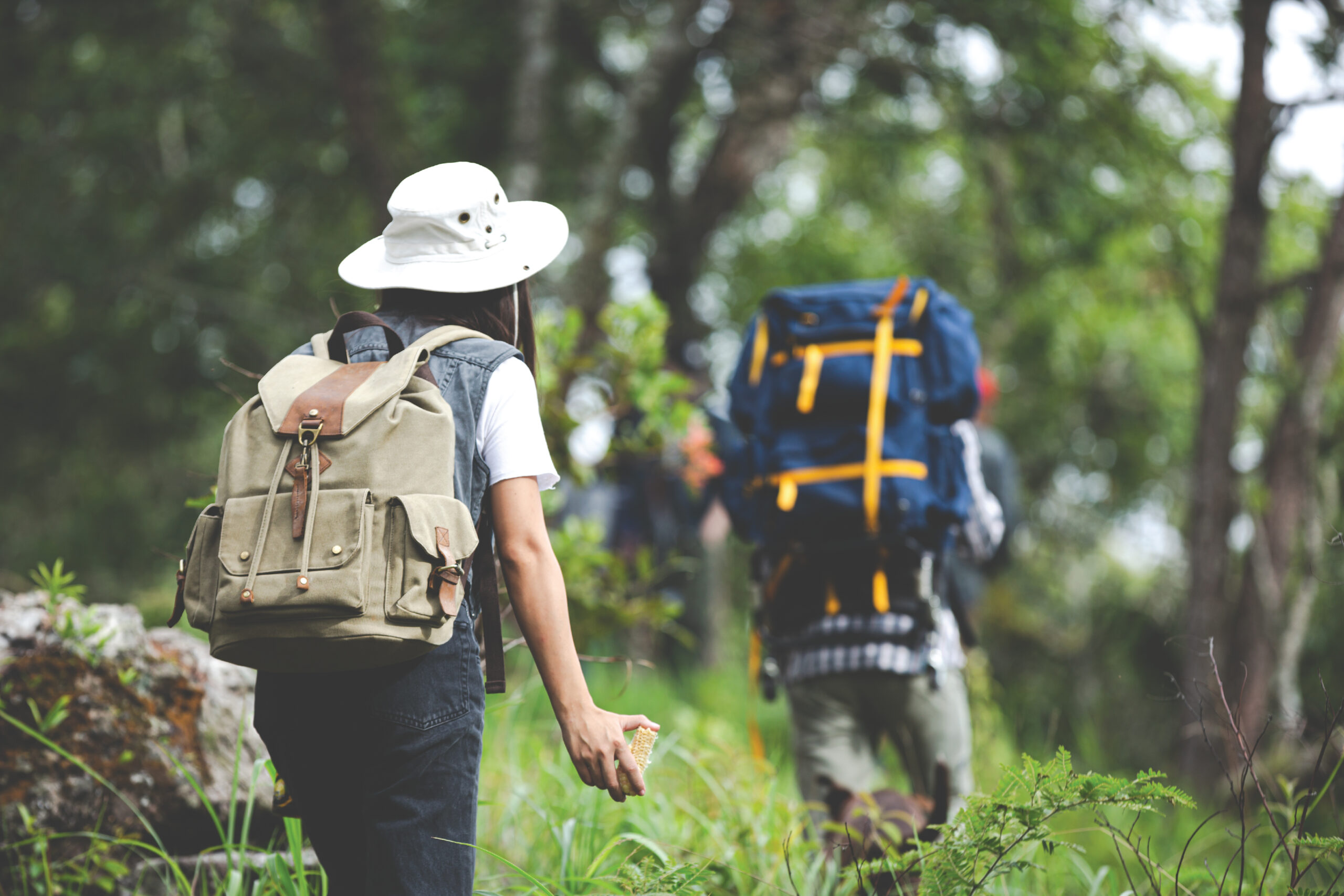 How to get to Khao Yai National Park