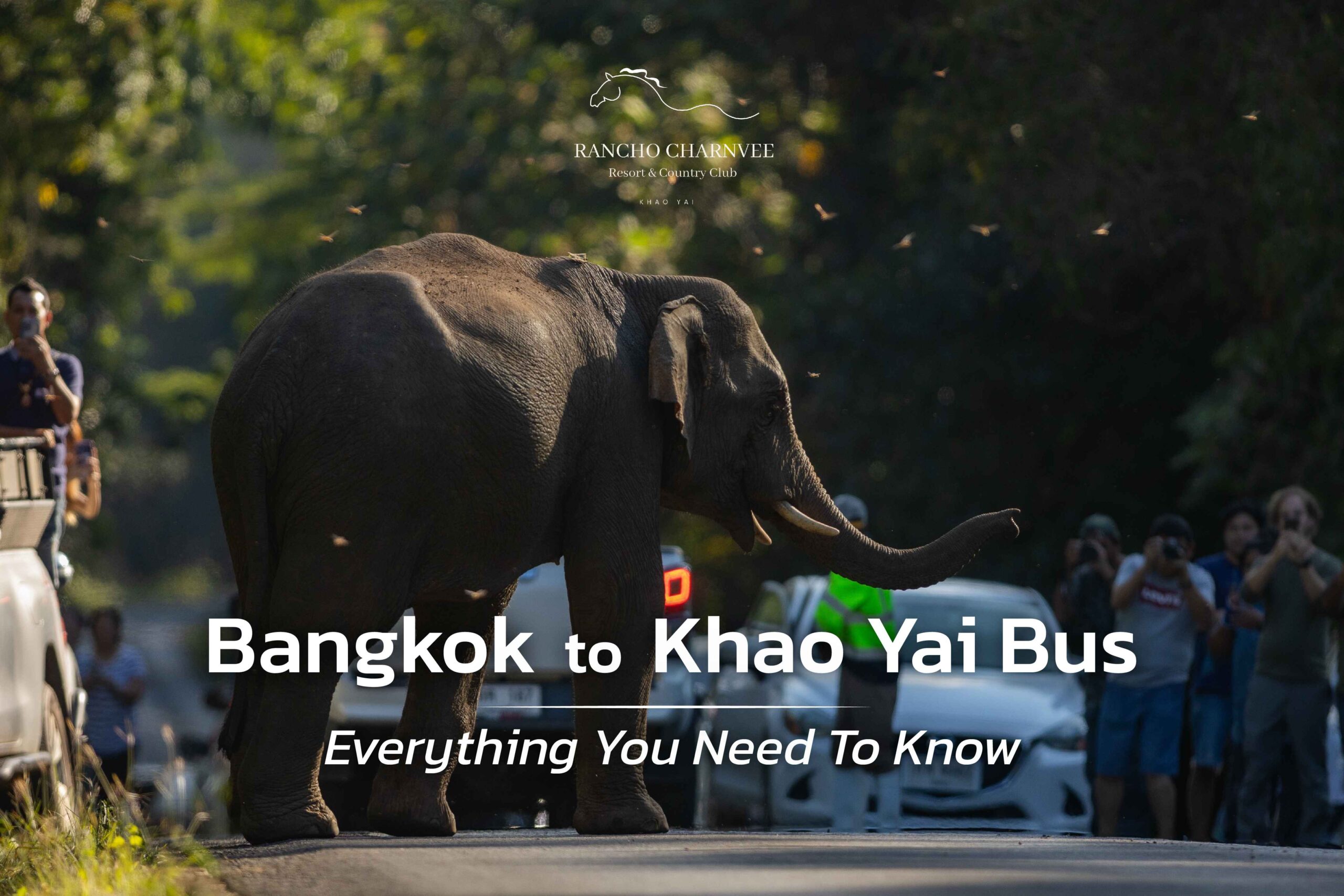 Bangkok to Khao Yai Bus: Everything You Need To Know