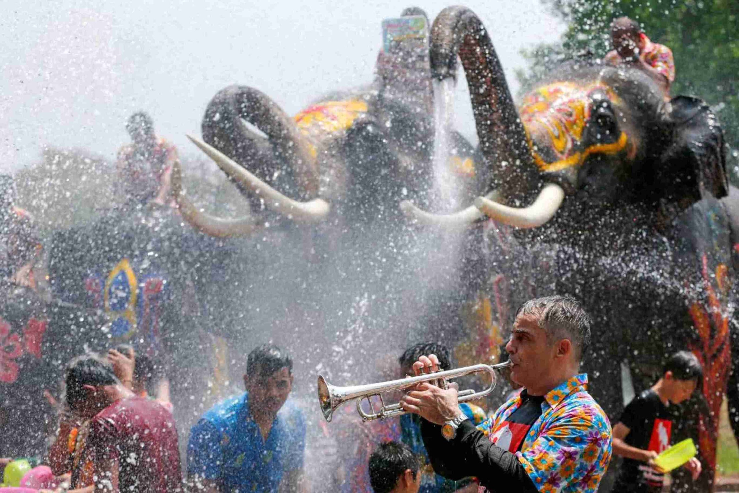 Celebrate Songkran with Elephants