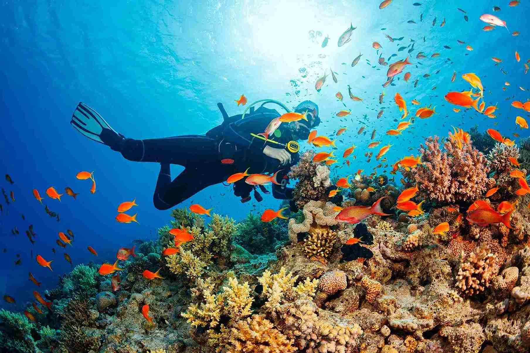 Diving in Phuket