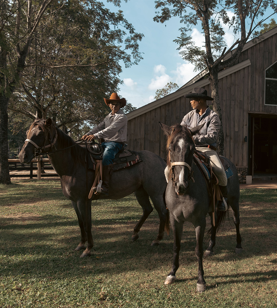 horse-club-02