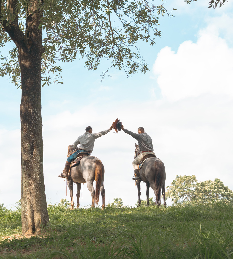 horse-club-07