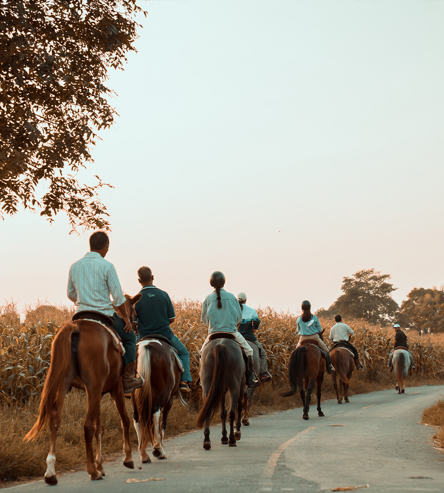 horse-club-09