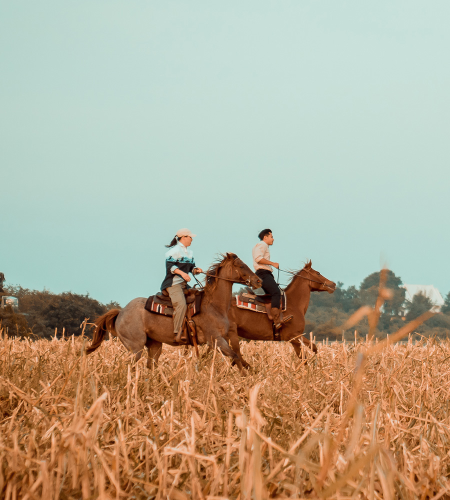 horse-club-10